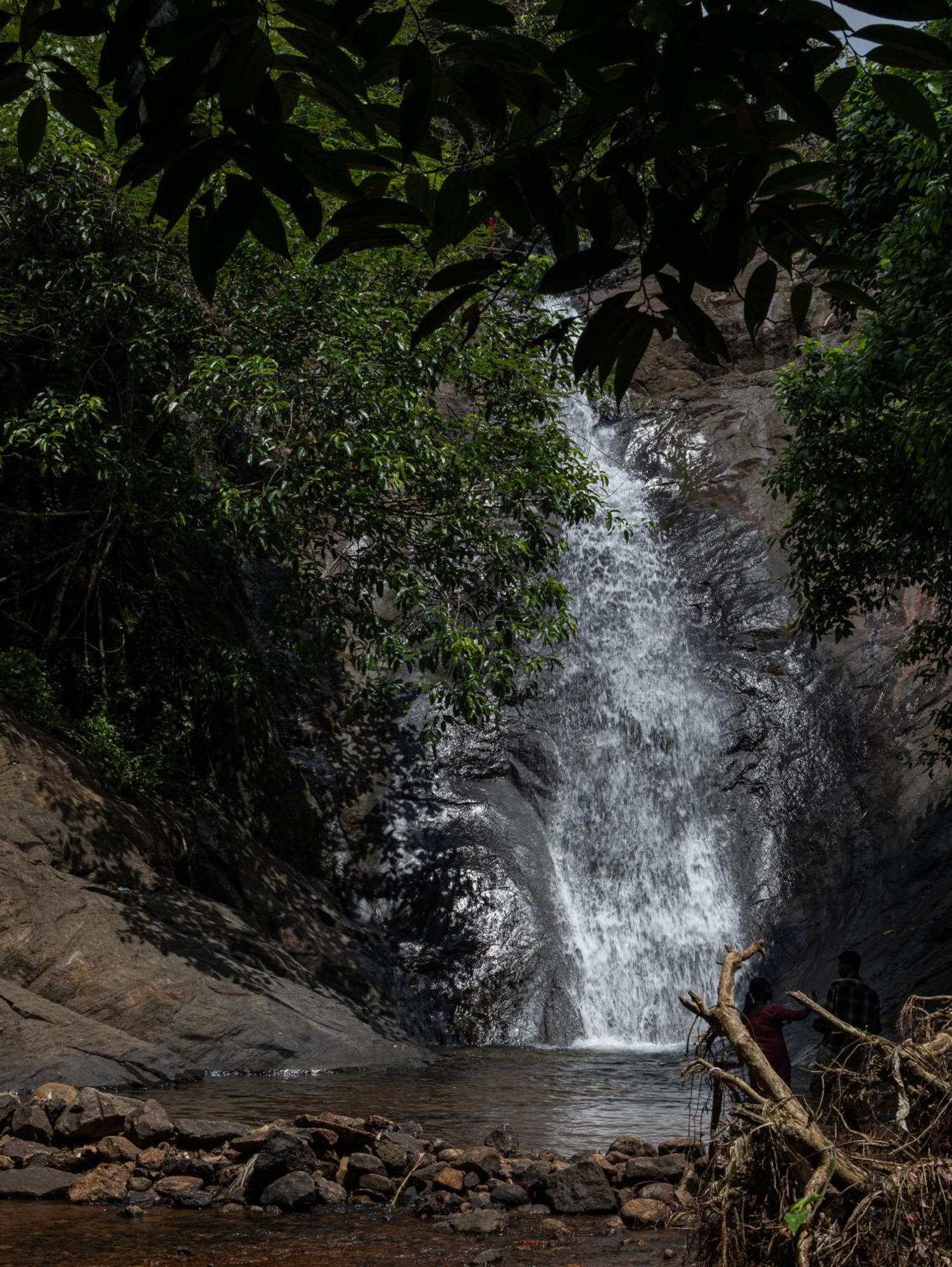 Aruvikuzhy Waterfalls Villa Kozhancheri Eksteriør billede